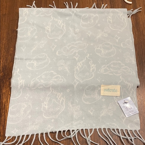 NWT Owlcrate Light Gray Scarf with Fringe - Picture 1 of 6